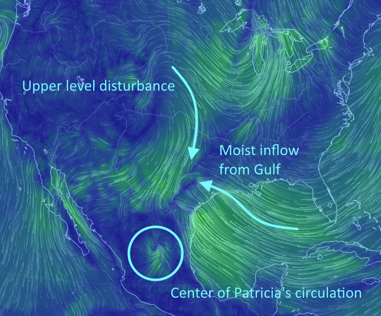 Surface winds at noon. (earth.nullschool.net)