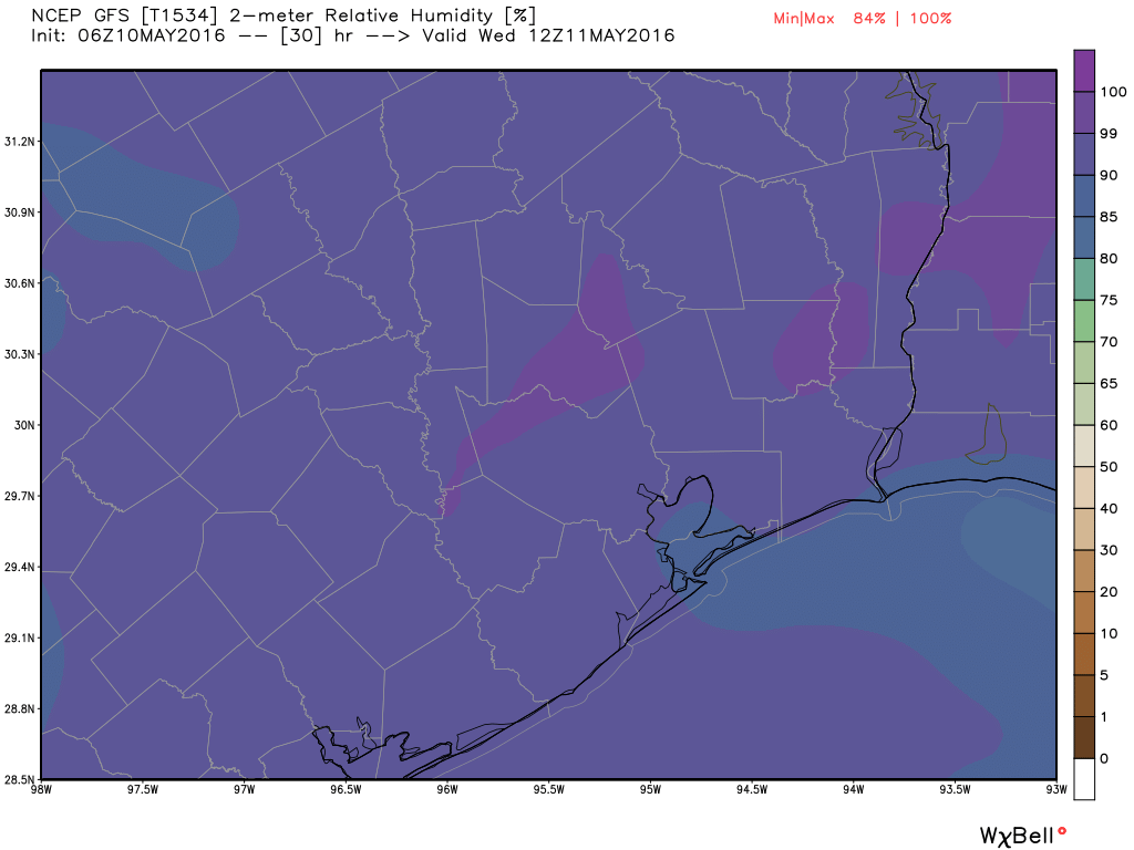 Like on Tuesday morning, we'll see relative humidity on Wednesday morning in the 99 to 100 percent range. (Weather Bell)