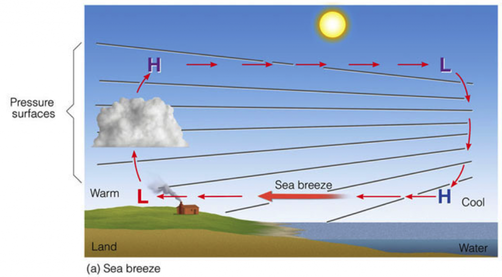 Diagram of a sea breeze circulation (from Ahrens textbook)