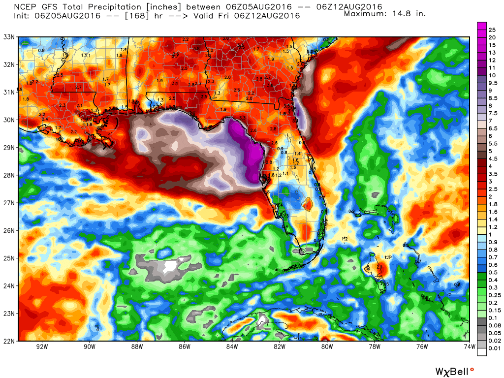 GFS 7 day rainfall totals are quite impressive near the Florida coast. Though Texas isn't on this map, rain totals drop significantly west of Beaumont/Port Arthur. (Weather Bell)