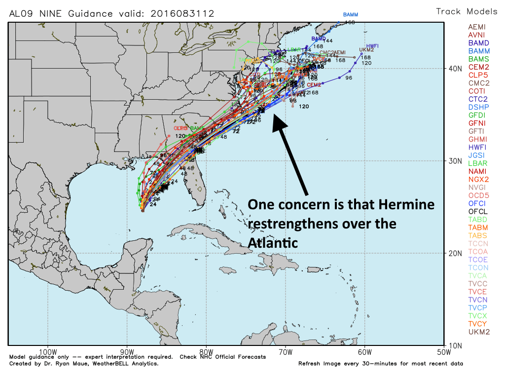 Track models for Tropical Storm Hermine. (Weather Bell)