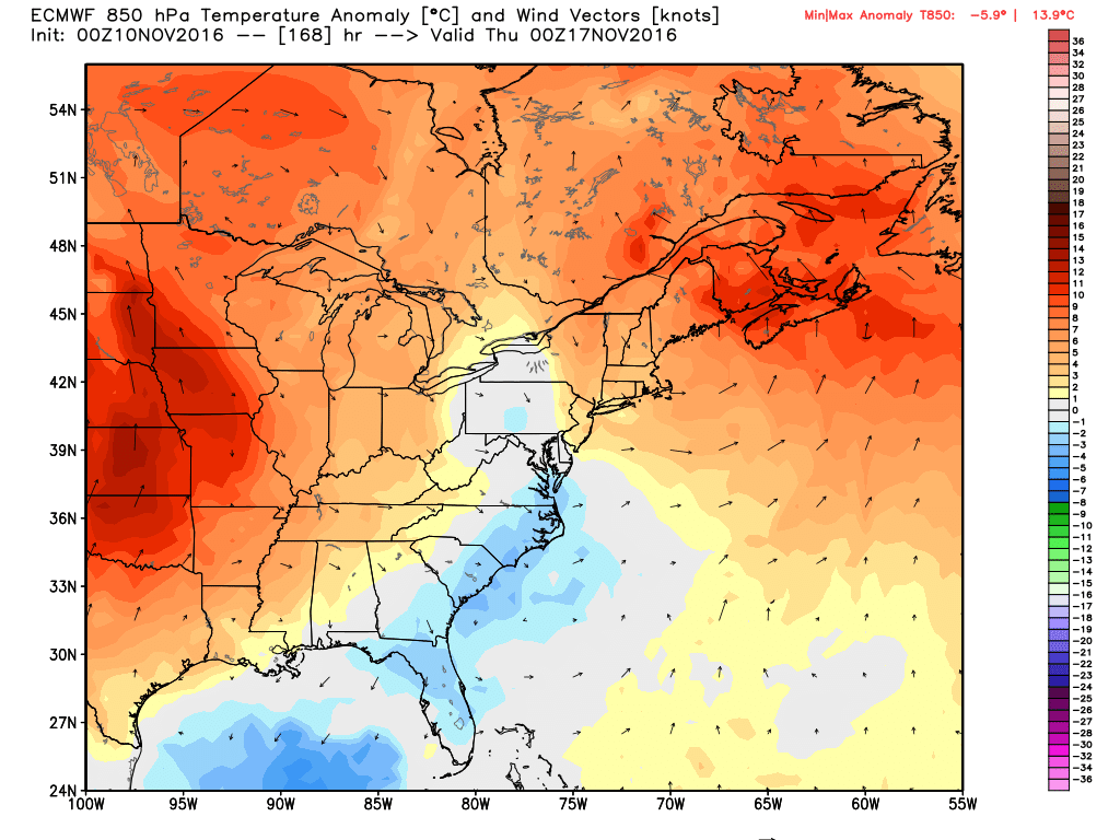 Temperatures may warm back to a few degrees above normal later next week. (Weather Bell)