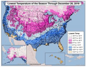 Taking stock of how cold it’s been in Houston this winter – Space City ...